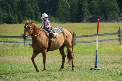 Gymkhana Horse Games | Sweet Grass Ranch | Big Timber, MT Sweet Grass Ranch