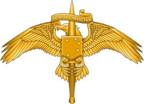 The Marines' new Raider insignia gives special operators street cred