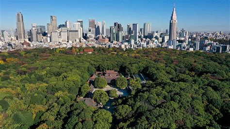 Creating Serenity: The Construction of the Meiji Shrine Forest | Nippon.com