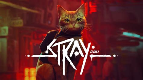 Stray Game Cover Wallpaper 4k HD ID:11201