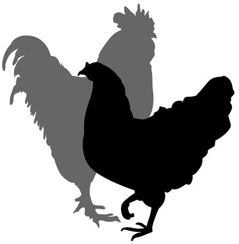 File:Rooster and hen silhouette 02.svg | Rooster silhouette, Bird ...