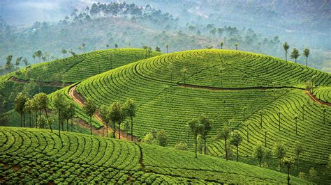 Enjoy My Trips - Kerala Tour Packages | Kerala Travel Packages