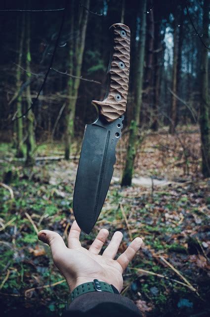 Knife Games Adventure Wild - Free photo on Pixabay - Pixabay