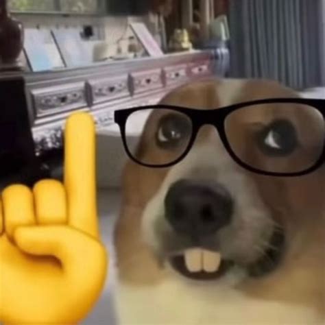 a dog wearing glasses and making the peace sign with his hand in front ...