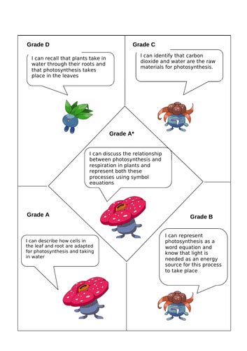 Plant Adaptations, Photosynthesis and Uses of Glucose | Teaching Resources