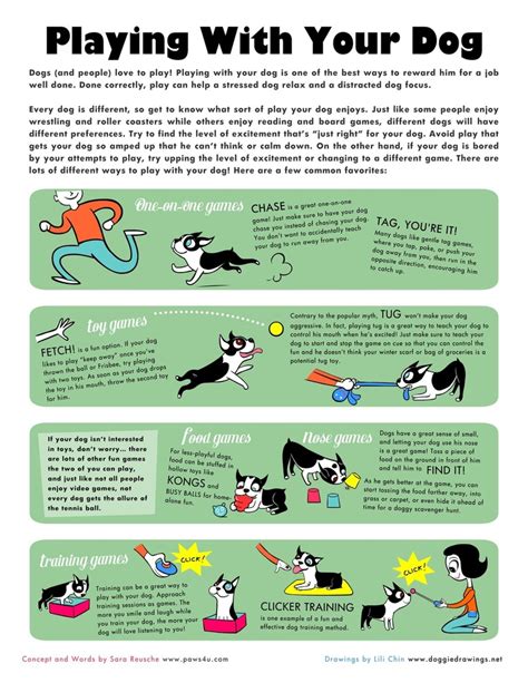 Playing With Your Dog: An Illustrated Guide | Dog training, Dog games, Dog poster