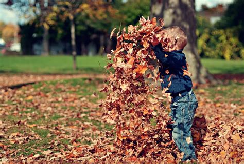 Here’s Why You Should Let Your Kids Jump In Leaf Piles – Her View From Home