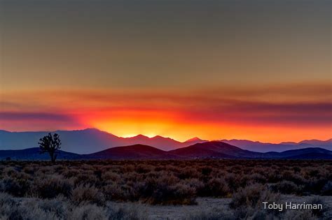 "Mojave Desert Sunset" by Toby Harriman | Redbubble