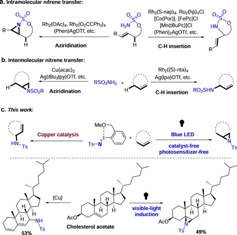 Chemo- and site-selective nitrene transfer a Intramolecular nitrene ...