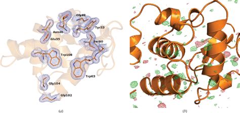 Lysozyme structure. (a) Overall structure of lysozyme showing 2mF o À... | Download Scientific ...