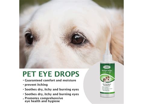 See the Clear Benefits of Allergy Eye Drops for Dogs!