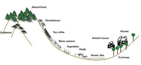 Taking a Walk: Community Action using Transect Mapping and Visual Action Plan - AIF