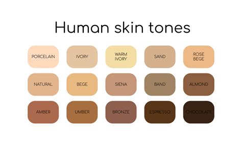 Skin tones palette by name. Different types human skin. Flat icon set. Vector 6683612 Vector Art ...