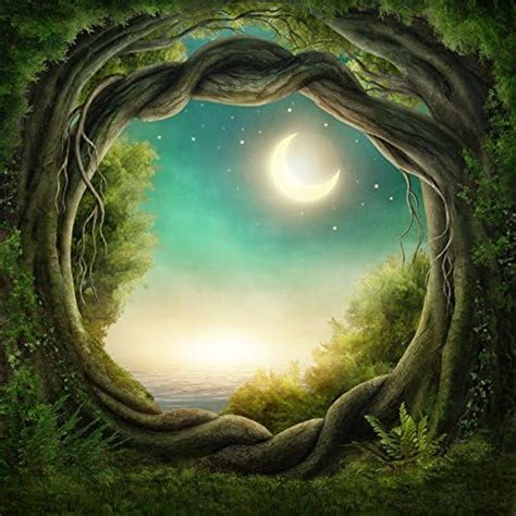 Amazon.com : Yeele 10x10ft Fantasy Forest Backdrop Fairy Tale Ivy Night Moon Stars Landscape ...