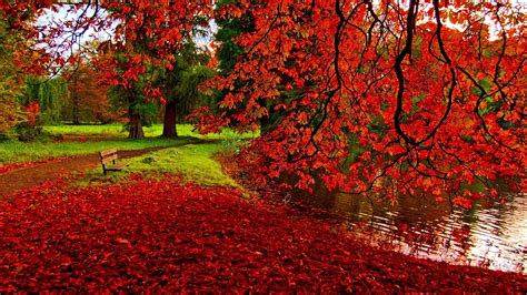 10 Top Fall Backgrounds For Desktop FULL HD 1920×1080 For PC Desktop 2023