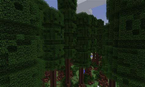 Image - Redwood1 9 4.png | Biomes O' Plenty Wiki | FANDOM powered by Wikia