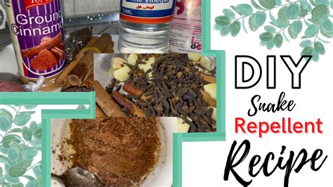 DIY- HOMEMADE NATURAL SNAKE REPELLENT RECIPE 😳 - Snake in Toilet - Snake Prevention # ...