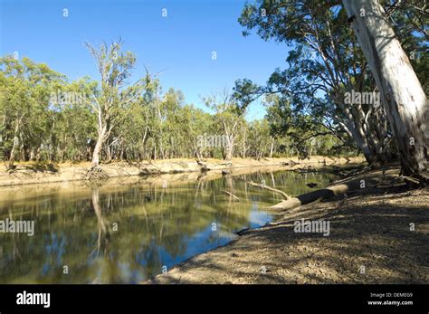 Murrumbidgee River, Balranald, New South Wales, Australia Stock Photo ...