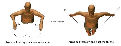 Butterfly Arms - Learn the Basic Swimming Technique Step-by-Step