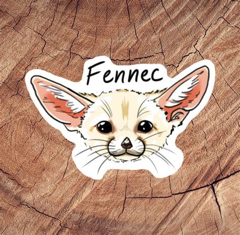 Fennec Fox Sticker Laminated Stickers Waterproof Stickers - Etsy