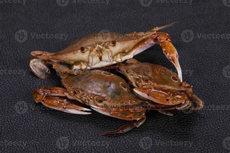 Raw crab - ready for cooking 12285221 Stock Photo at Vecteezy