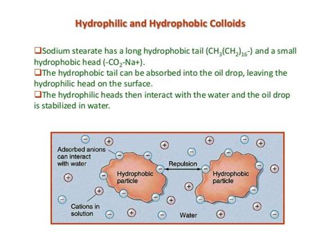 PHYSICAL BIOCHEMISTRY