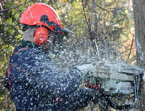 Safety Tips To Follow When Using a Chainsaw | Safety tips, Occupational ...