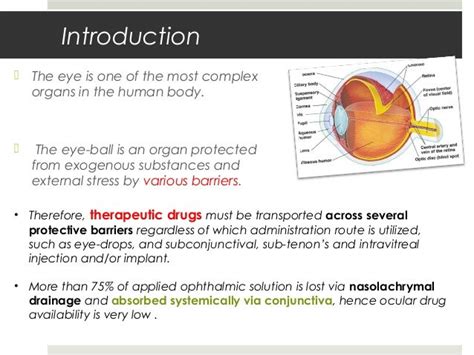 Ocular Drug Delivery System.