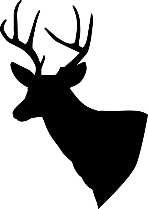 Deer Silhouette Free Stock Photo - Public Domain Pictures