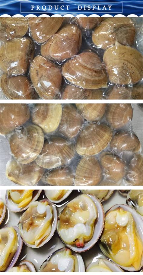 Frozen cook clams packaging clam shells,China price supplier - 21food