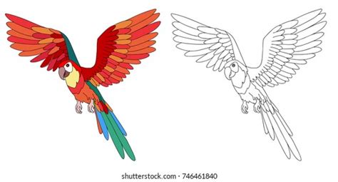 19.132 Parrot Out Line Images, Stock Photos, 3D objects, & Vectors | Shutterstock