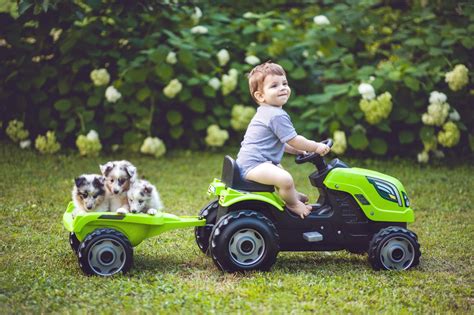 Farm Dogs: Introducing your pup to life on the farm