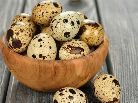 4 Reasons To Try Quail Eggs At Home