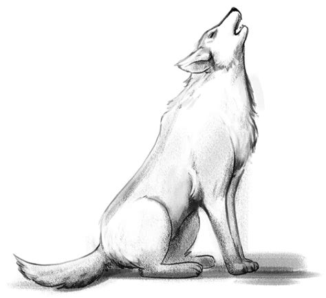 Wolf Drawing In 5 Steps: Beginners’ Guide [Video + Images]