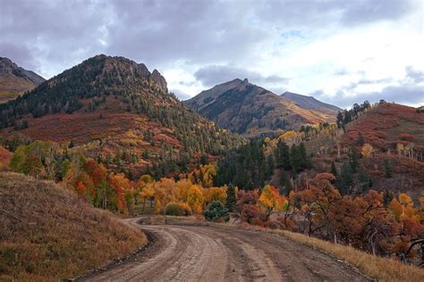 Peak fall colors on Last Dollar Road, Telluride CO [5472 x 3648] [OC] : EarthPorn