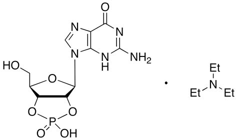 73647-09-3 | Guanosine 2’,3’-Cyclic Monophosphate Triethylamine Salt ...