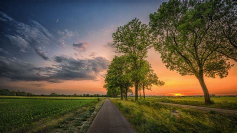 Download Tree Sunset Man Made Road HD Wallpaper