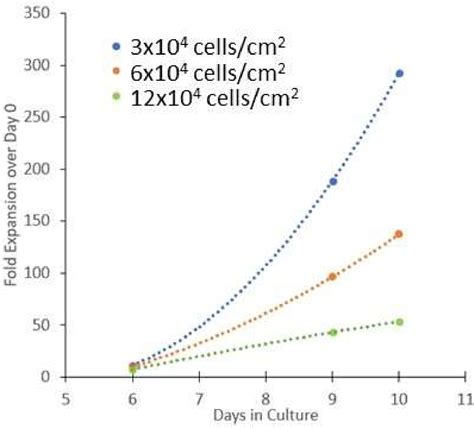 Cell Culture Plate Seeding Density at Steven Belote blog