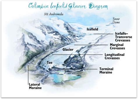 The Columbia Icefield