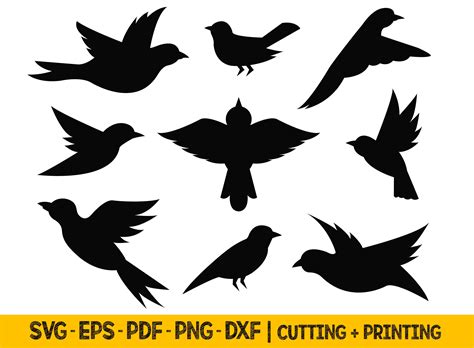 Bird Svg Files for Cricut, Bird Clipart Vector, Birds Svg Bundle Cricut ...