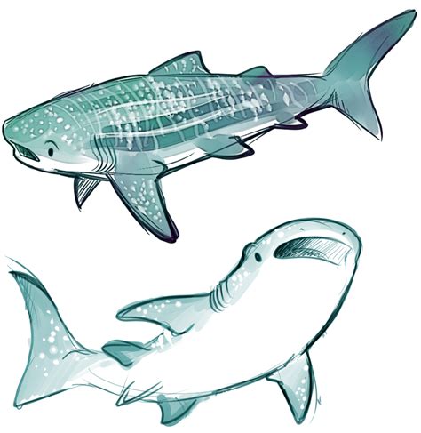 pirateygentleman: sharkie-19: Whale and Great... - DRUNKENFIST | Shark illustration, Shark art ...