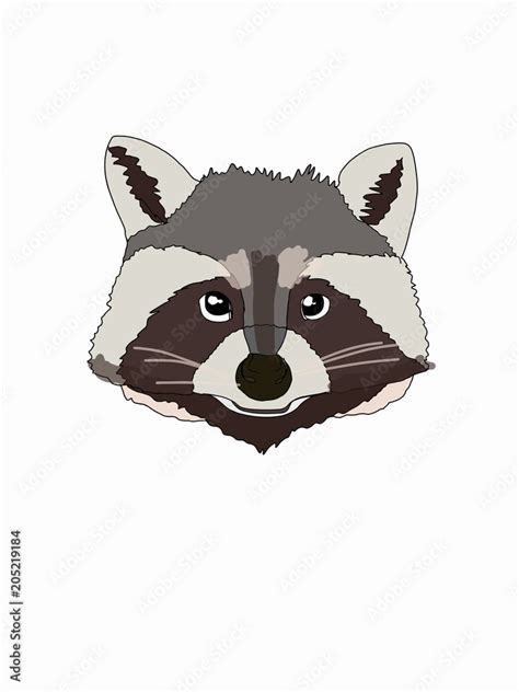 Raccoon Face Cartoon