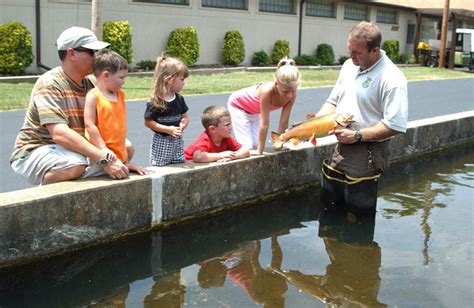 Attractions | Mountain Home, Arkansas Chamber of Commerce