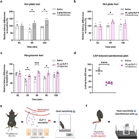 Figure 1 from GLP-1 and Its Derived Peptides Mediate Pain Relief Through Direct TRPV1 Inhibition ...