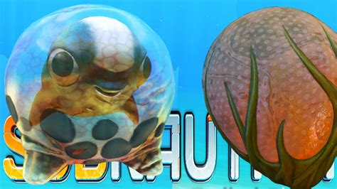 Subnautica - NEW CREATURE EGGS, CYCLOPS UPDATE, ROCKET BASE UPDATE - (Subnautica Gameplay) - YouTube