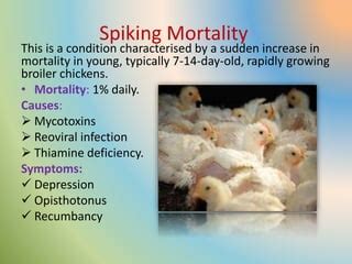 poultry disease | PPT