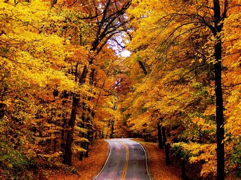 Fall Road Wallpaper - WallpaperSafari