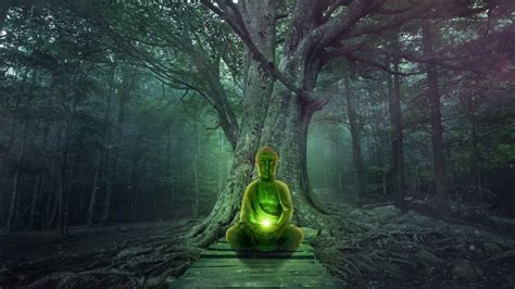 Meditation Forest | Spiritual Flute - YouTube