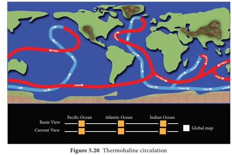 Thermohaline Circulation Diagram