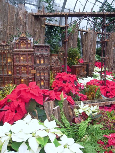 Sweet William The Scot: Krohn Conservatory a Christmas Tradition